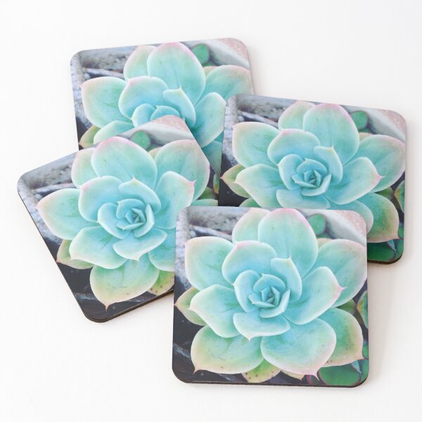Item preview, A Succulent Succulent  designed and sold by Shellgirlpearl.