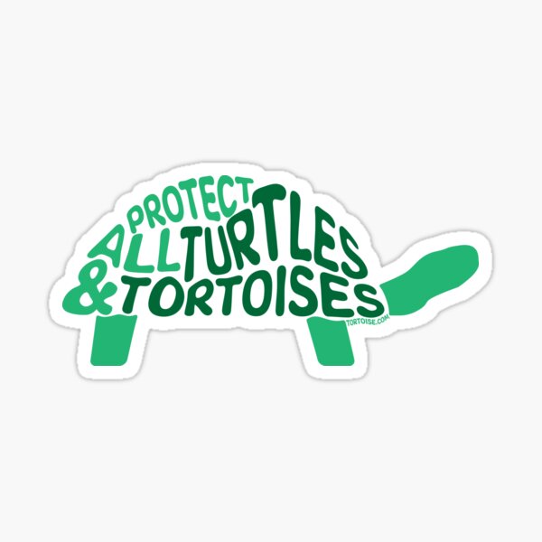 Protect All Turtles and Tortoises  Sticker