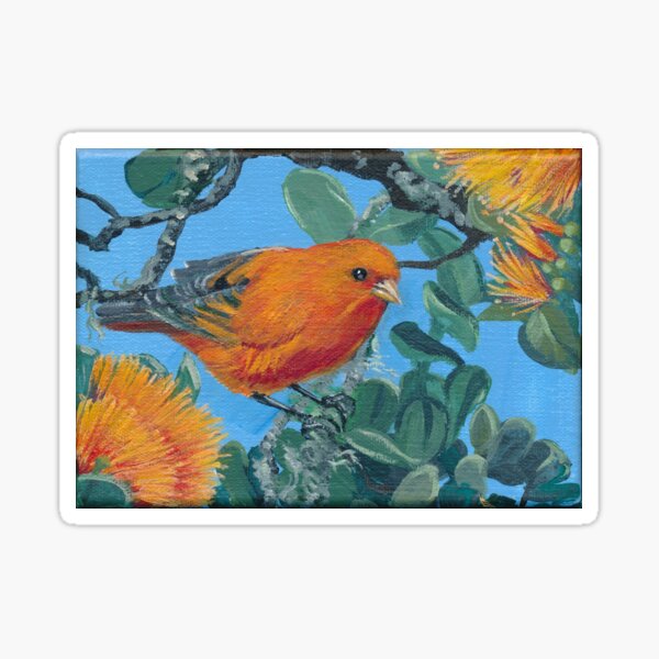 Tropical Hawaiian Bird: 'Akepa with Orange Ohia Sticker