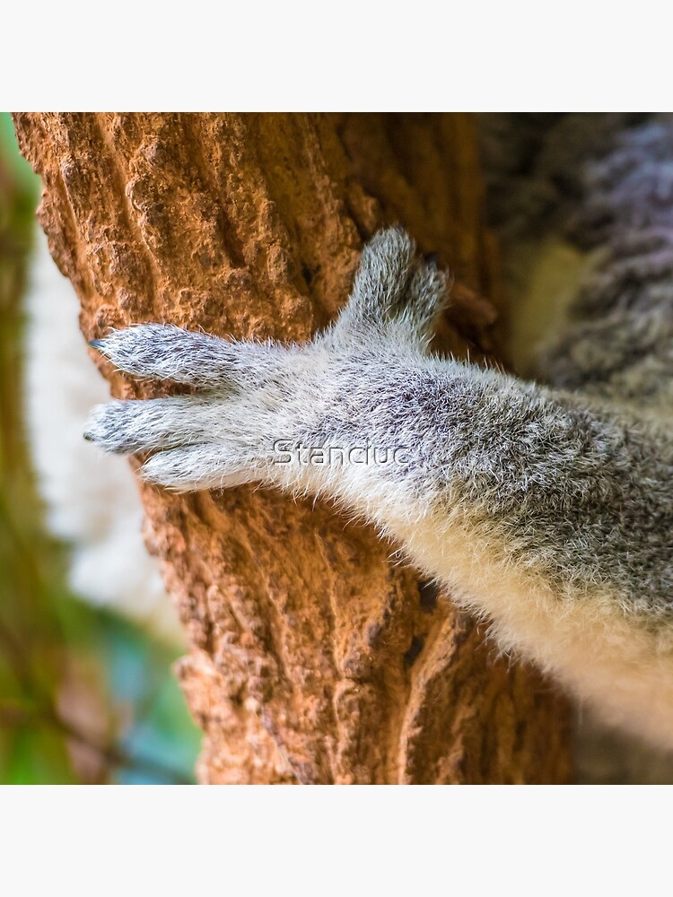 Premium Photo  A colorful koala with a tree branch in its paws.