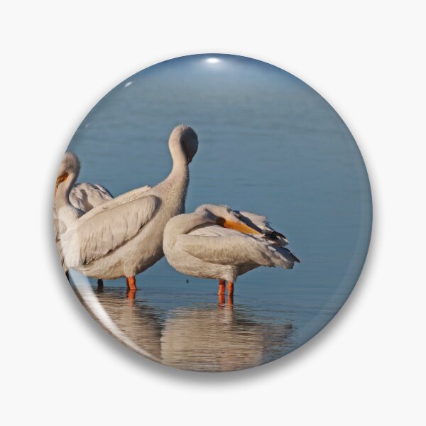 Item preview, Intriguing Commander designed and sold by Michiale.