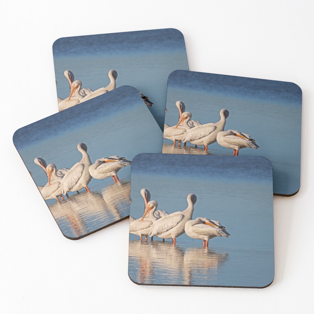 Item preview, Coasters (Set of 4) designed and sold by Michiale.