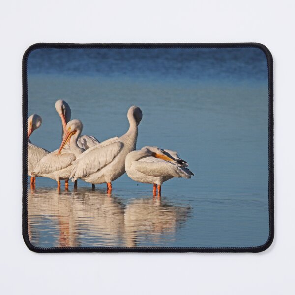 Item preview, Intriguing Commander designed and sold by Michiale.
