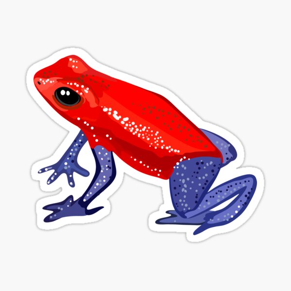 Item preview, S is for Strawberry Poison Dart Frog,Strawberry Poison Dart Frog Illustration – Bright Tropical Frog Art for Amphibian Enthusiasts designed and sold by PrettylittlepastelUk.