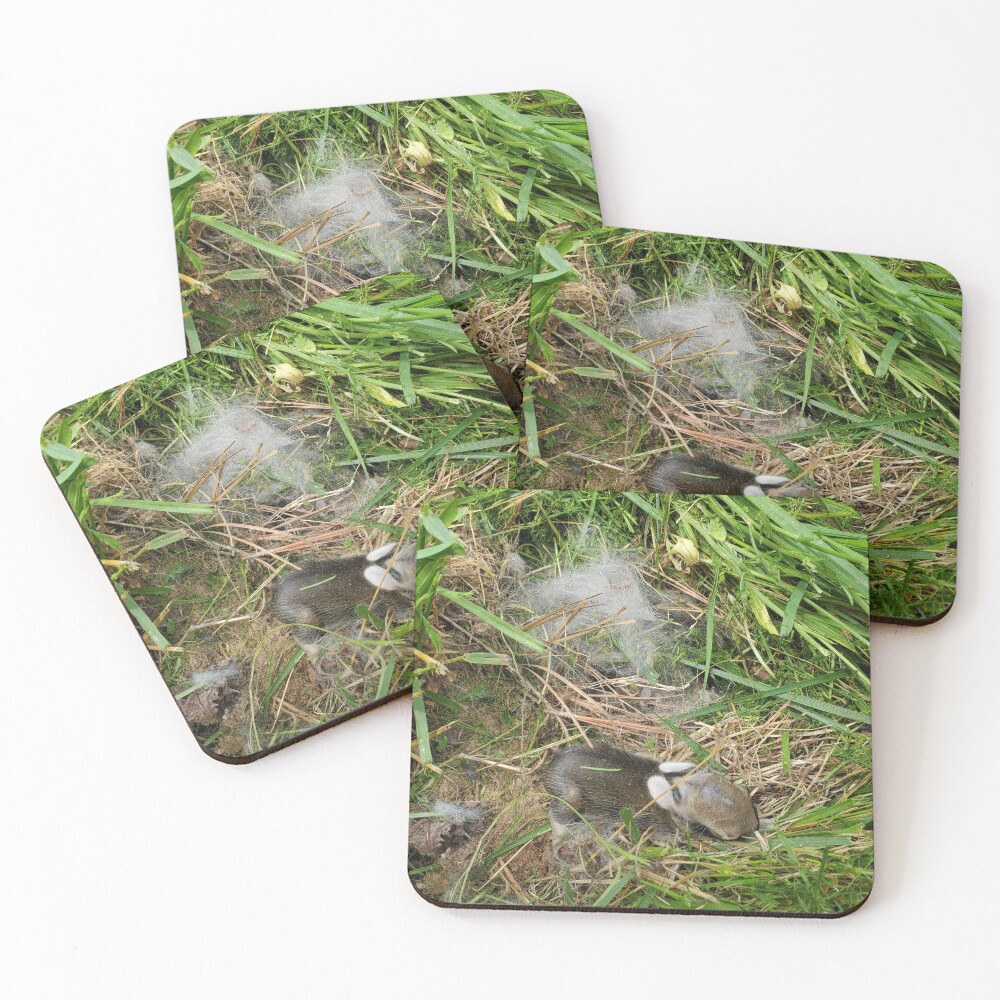 Item preview, Coasters (Set of 4) designed and sold by Tiberius404.