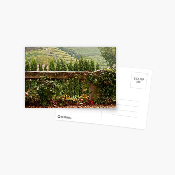 Scenes of Autumn Postcard