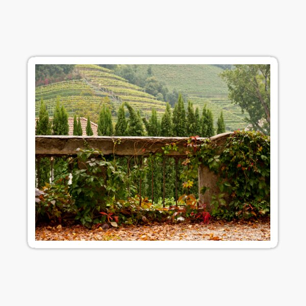 Item preview, Scenes of Autumn designed and sold by Rae Tucker Photography & Designs.