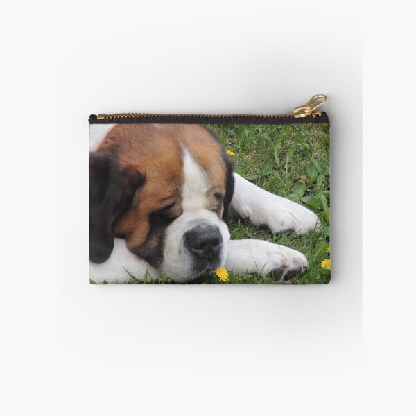 Item preview, Sleeping or Smelling the Dandelions? designed and sold by Alexandra Lavizzari.