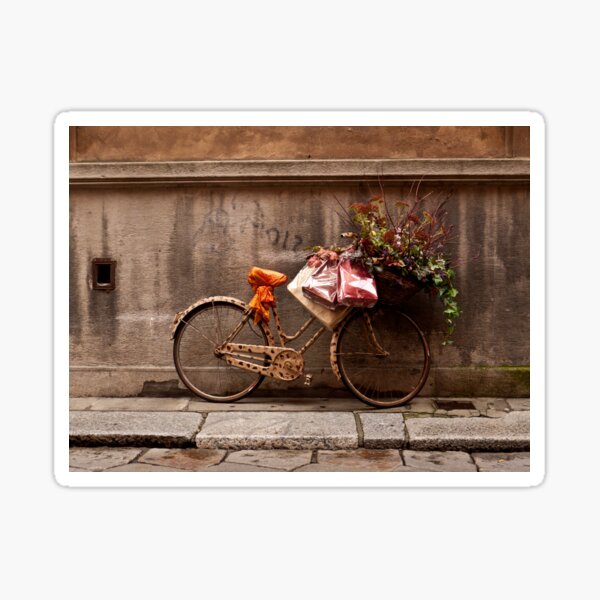 Item preview, Bike Display designed and sold by Rae Tucker Photography & Designs.