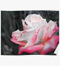 Blushing Poster