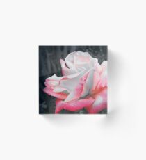 Blushing Acrylic Block