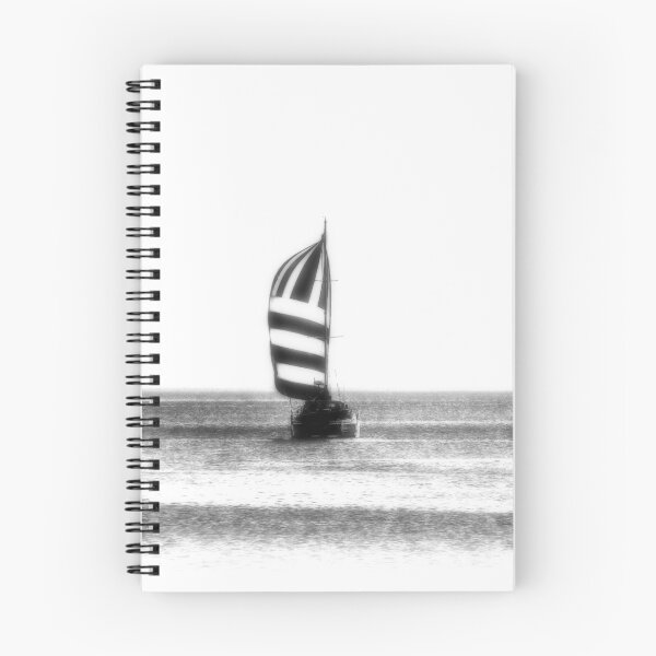Item preview, Catamaran designed and sold by James DeFazio.
