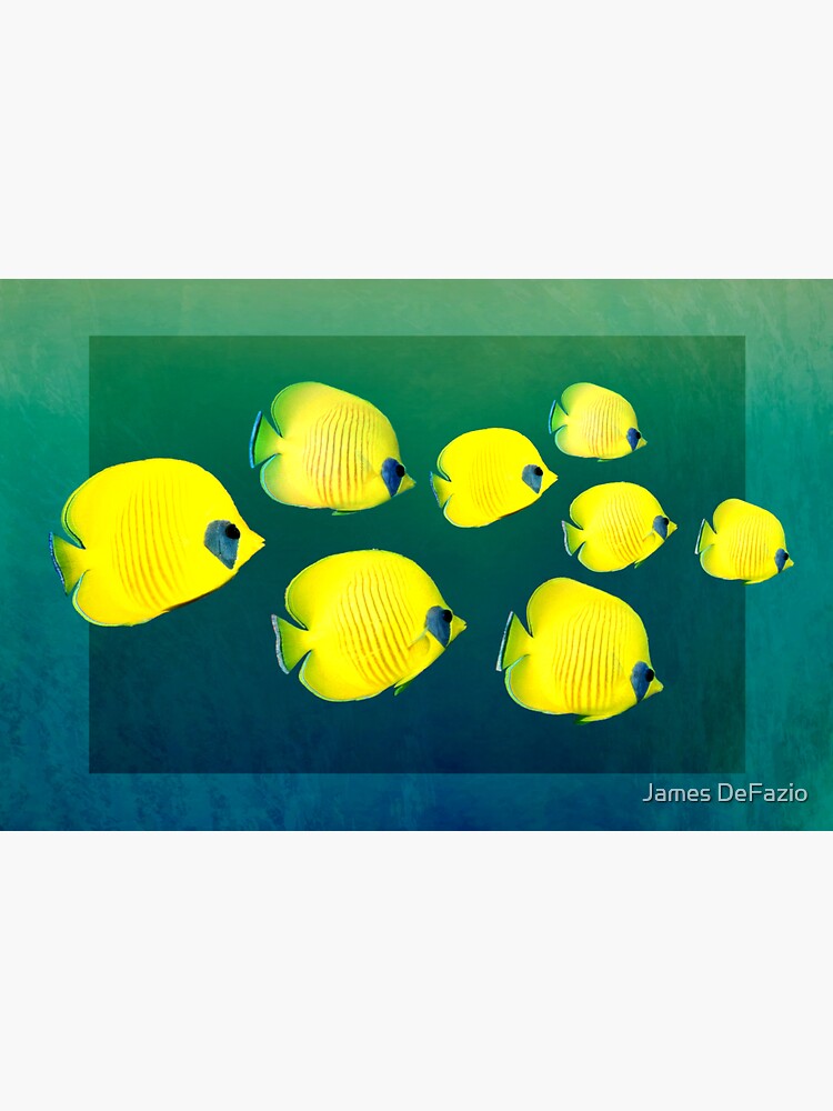 School of Yellow Masked Butterfly Fish Sticker for Sale by James DeFazio