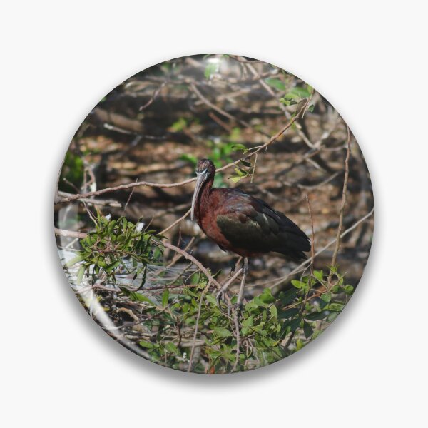Artikelvorschau, Glossy Ibis entworfen und verkauft von Michiale.