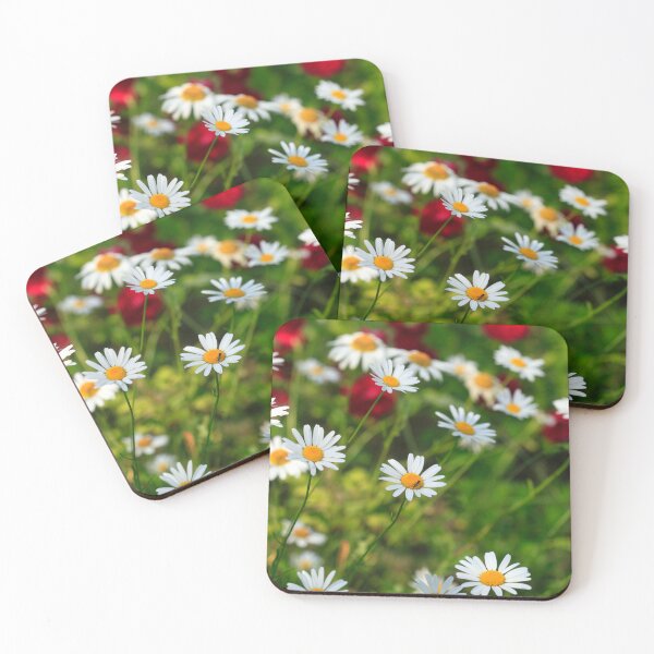 Item preview, White big chamomiles in field designed and sold by olena2552.