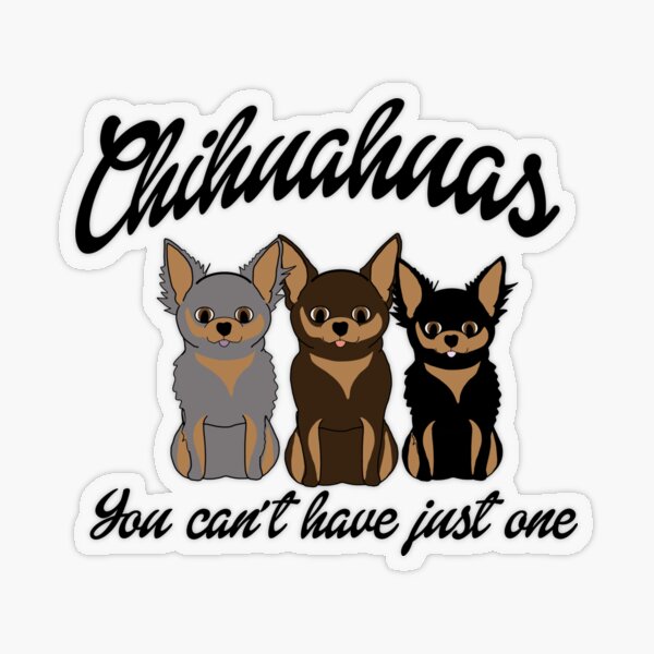 Cute Chihuahuas You Can't Have Just One T-Shirt Cute Chihuahuas You Can't Have Just One T-Shirt