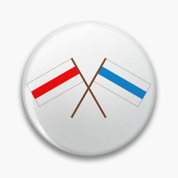 Item preview, Russia-Belarus opposition flags designed and sold by LHistorique.