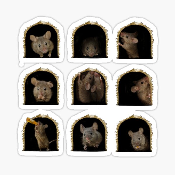 Mouse in the hole stickers and wall art Sticker