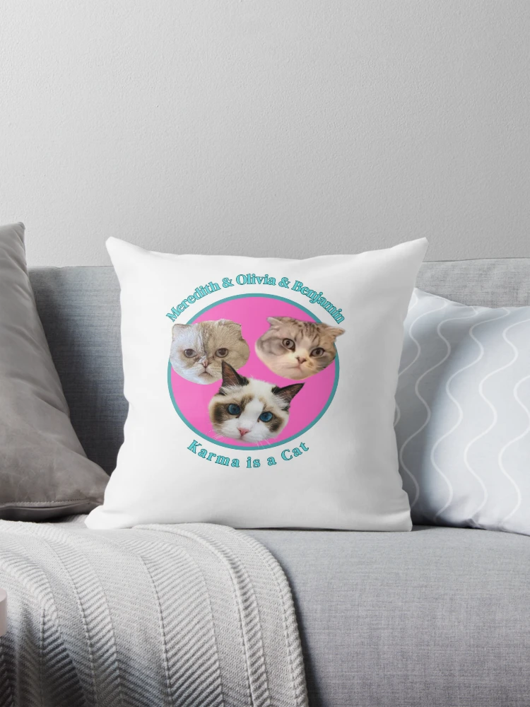 Taylor swift olivia on sale cat pillow rare