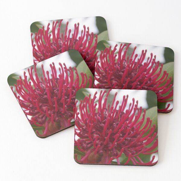 Item preview, Waratah telopea designed and sold by lezvee.