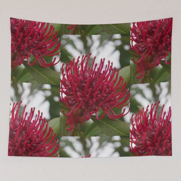 Item preview, Waratah telopea designed and sold by lezvee.