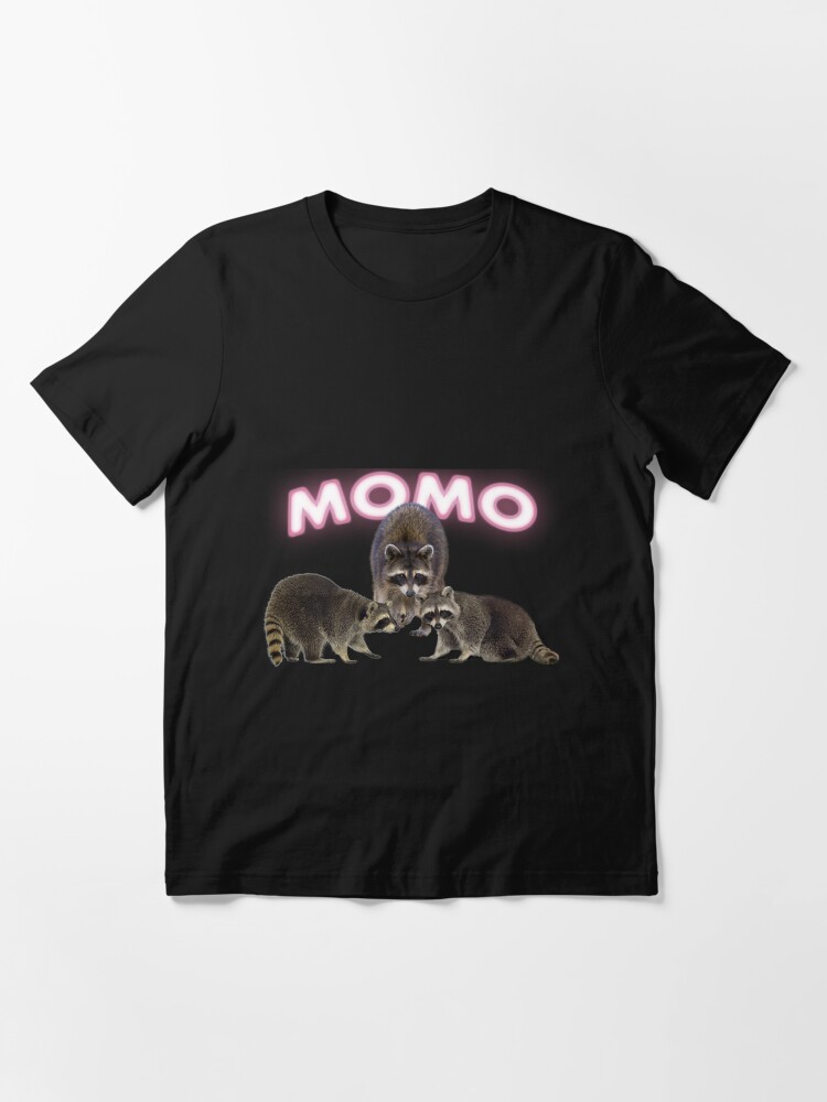 Momo Twice - Raccoons