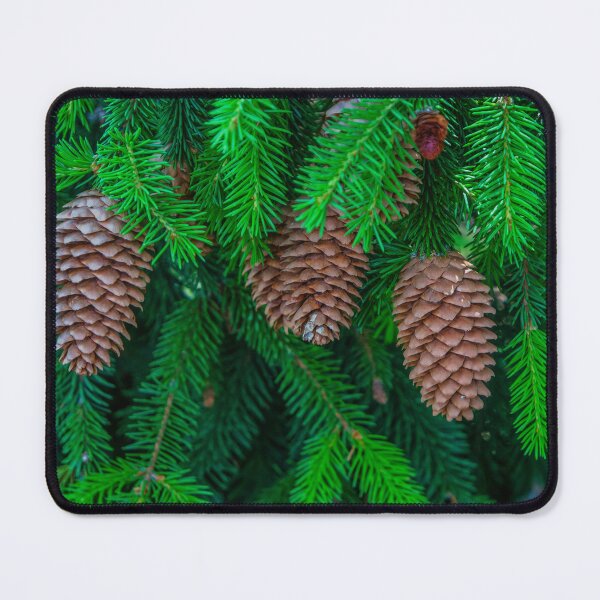 Item preview, Pine Tree and Pine Cones, Nature Canvas, © DAM Creative, designed and sold by DAM Creative ⭐⭐⭐⭐⭐.