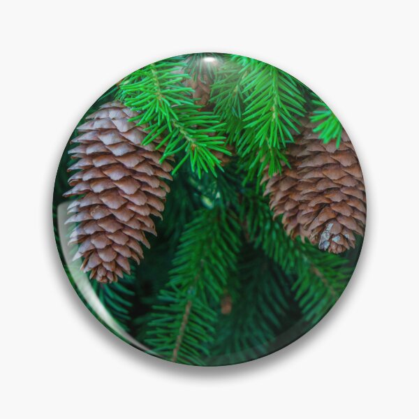 Item preview, Pine Tree and Pine Cones, Nature Canvas, © DAM Creative, designed and sold by DAM Creative ⭐⭐⭐⭐⭐.