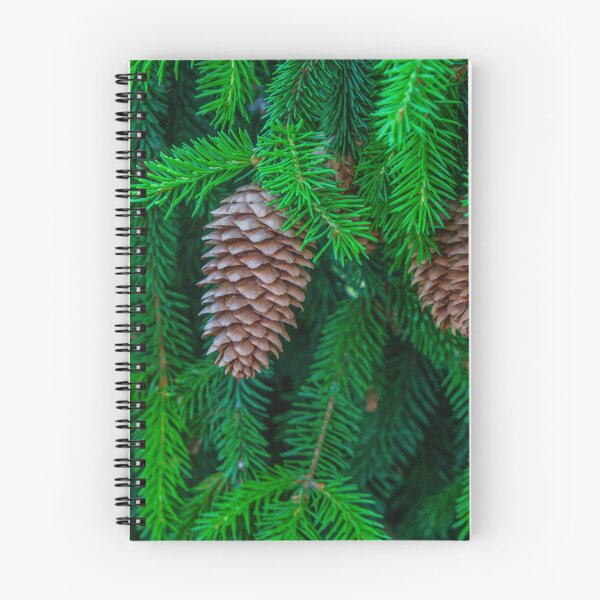 Item preview, Pine Tree and Pine Cones, Nature Canvas, © DAM Creative, designed and sold by DAM Creative ⭐⭐⭐⭐⭐.