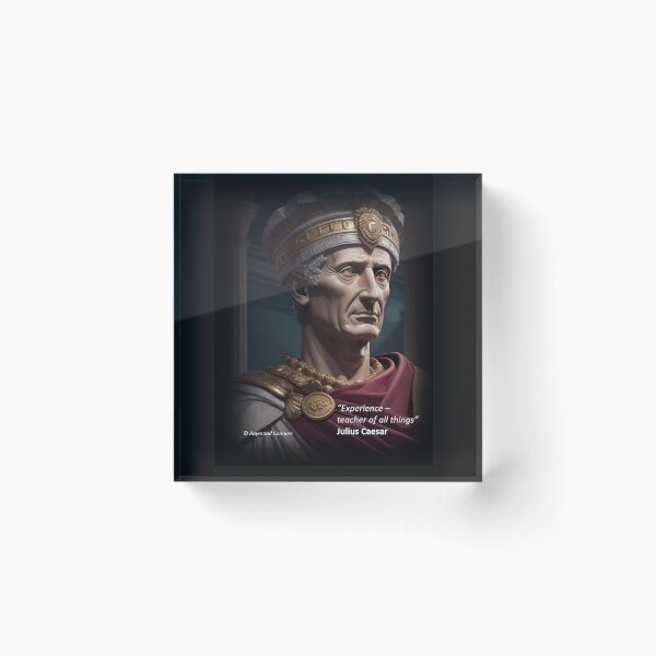 Item preview, Experience is the teacher of all things- Caesar designed and sold by ElderWisdom.