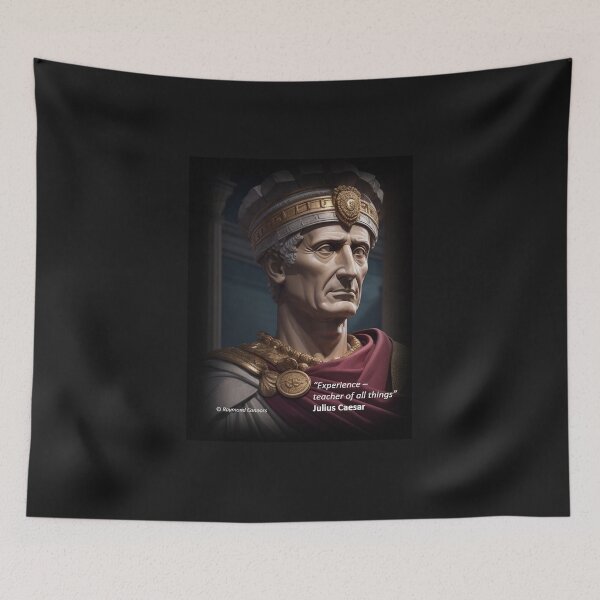 Item preview, Experience is the teacher of all things- Caesar designed and sold by ElderWisdom.