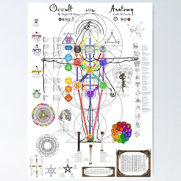 Item preview, Occult Anatomy  designed and sold by Blackvladimir.