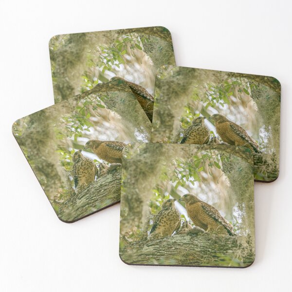 Item preview, Red Shoulder Hawk and Chicks designed and sold by utakloss.