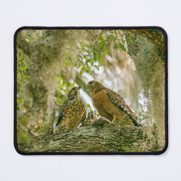 Item preview, Red Shoulder Hawk and Chicks designed and sold by utakloss.