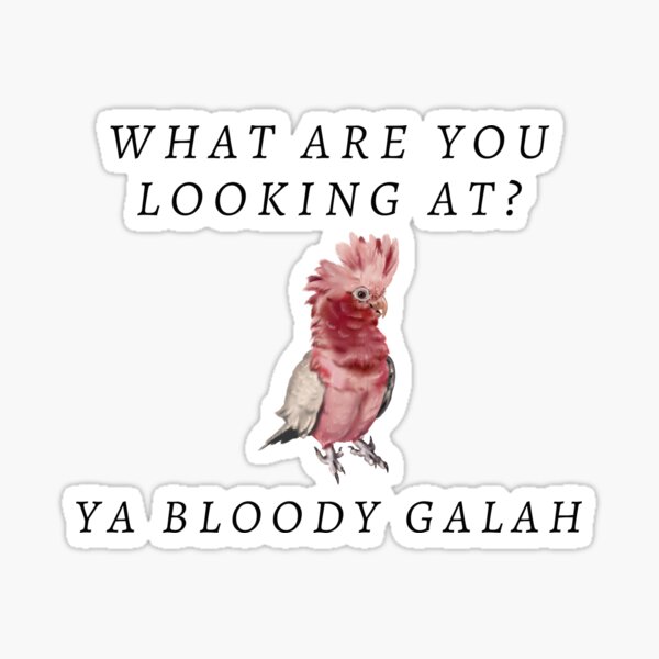 Aperçu de l'œuvre Qu'est ce que tu regardes? Ya Bloody Galah créée et vendue par Little-Bit-Xtra.