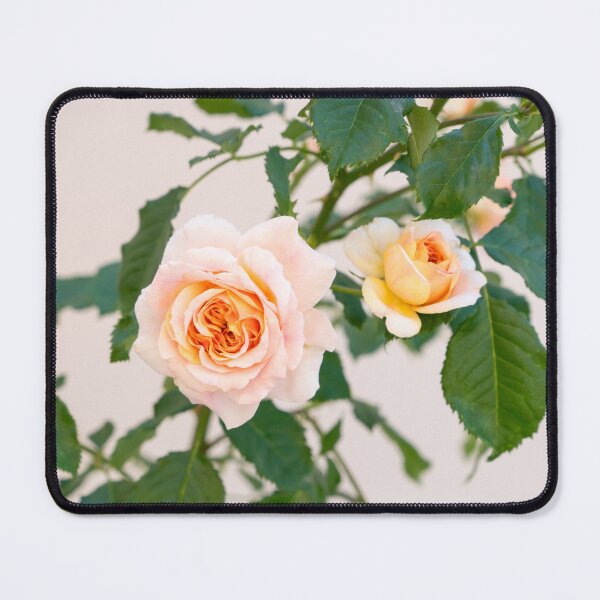 Item preview, Fragrant Rose Blossoms in Pale Pinkish Orange designed and sold by Georgia Mizuleva.