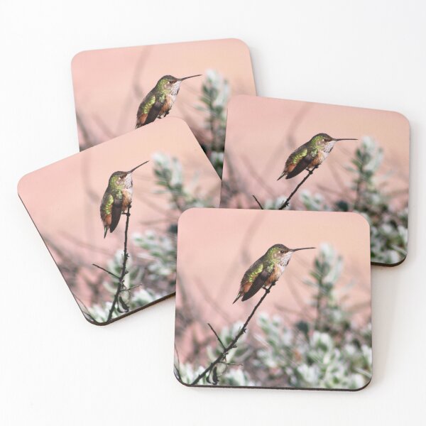 Item preview, Cute chilling hummingbird designed and sold by djsfoto.