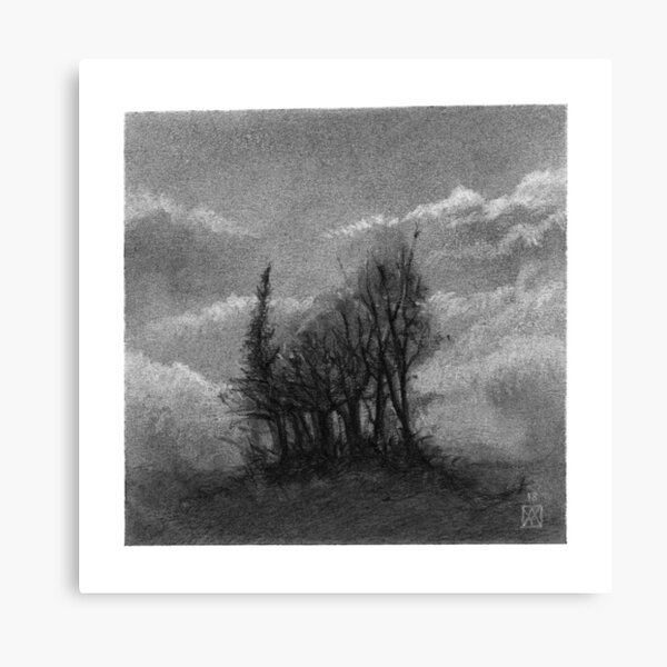 bosquet d'arbres au fusain - paysage - carré Impression sur toile