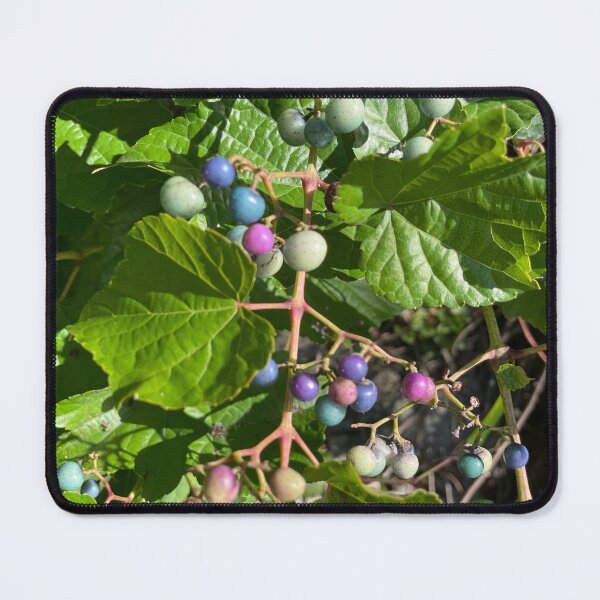 Item preview, Wild berries designed and sold by Arav06.
