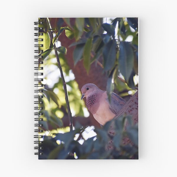 Item preview, Laughing dove designed and sold by PictureFarm.