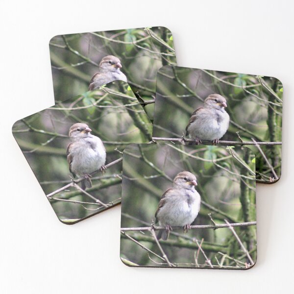 Item preview, perched designed and sold by KathleenDawson.