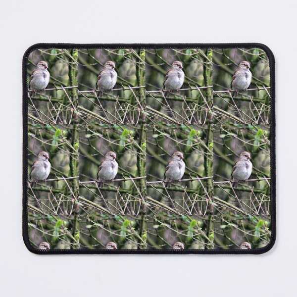 Item preview, perched designed and sold by KathleenDawson.