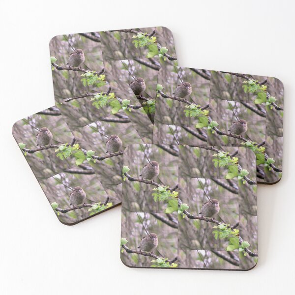 Item preview, perched designed and sold by KathleenDawson.