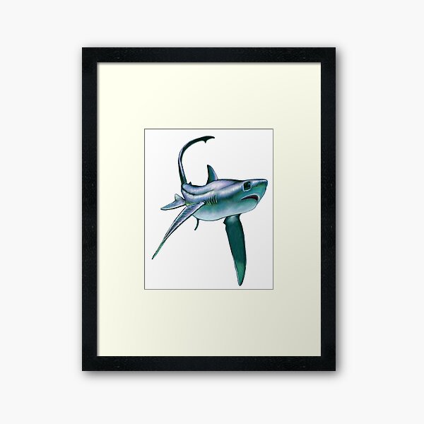 Silly Stickers Thresher Shark - Rambunctious Edition Art Board Print for  Sale by Alex Helms