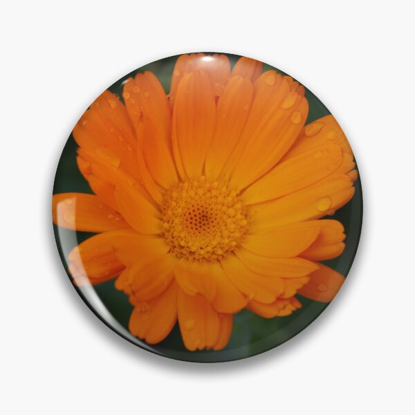 Item preview, Orange Pot Marigold  Flower designed and sold by Linda Sijpkes.