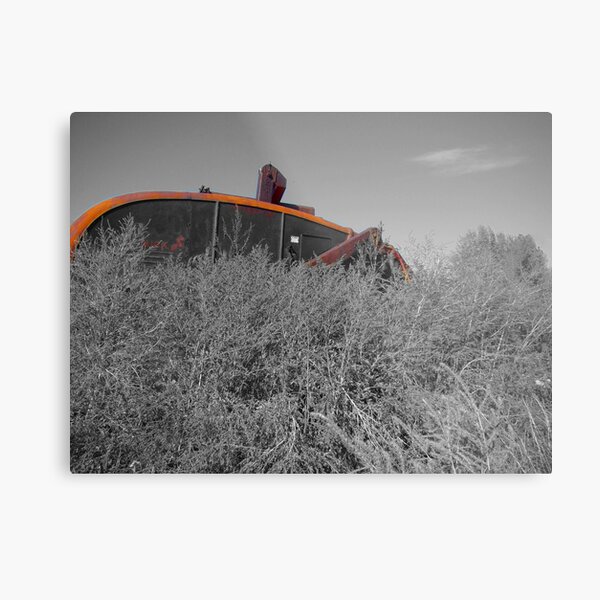 Giant Cricket Metal Print