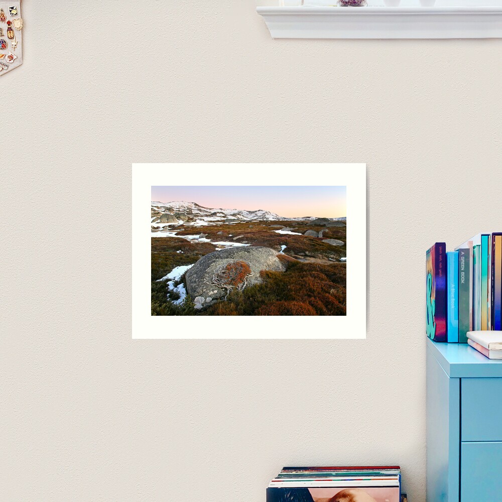 Wind swept valley, Kosciusko Nat. Park, Australia Art Print