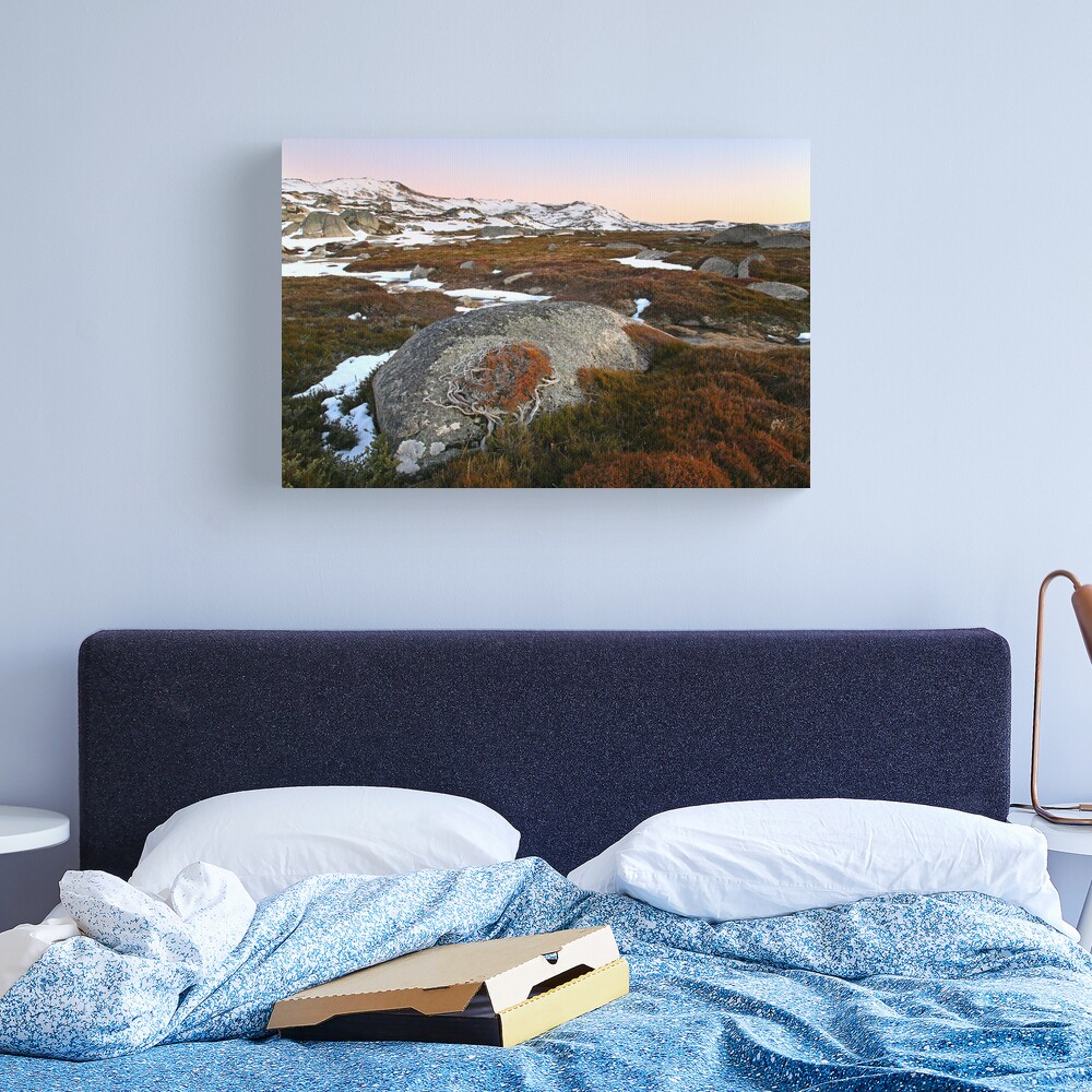 Wind swept valley, Kosciusko Nat. Park, Australia Canvas Print