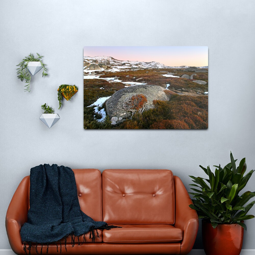 Wind swept valley, Kosciusko Nat. Park, Australia Metal Print