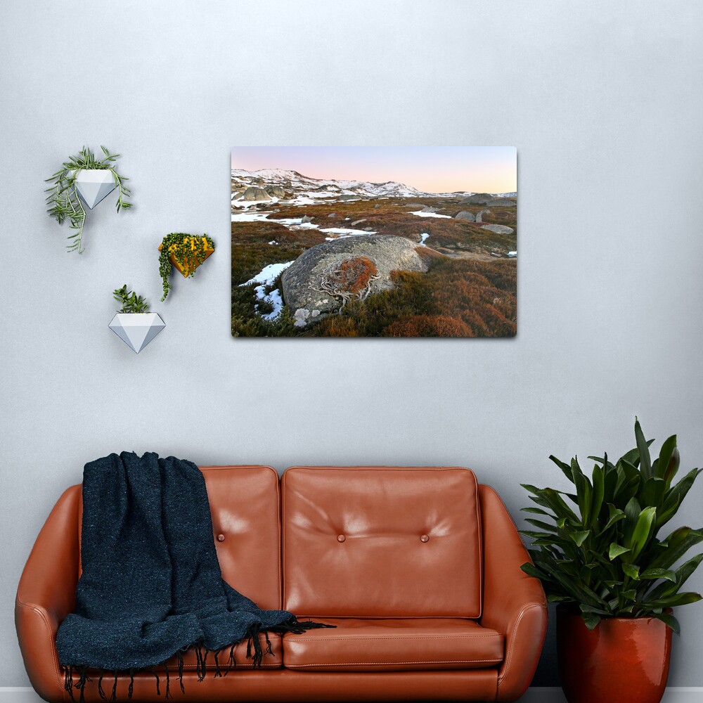 Wind swept valley, Kosciusko Nat. Park, Australia Metal Print